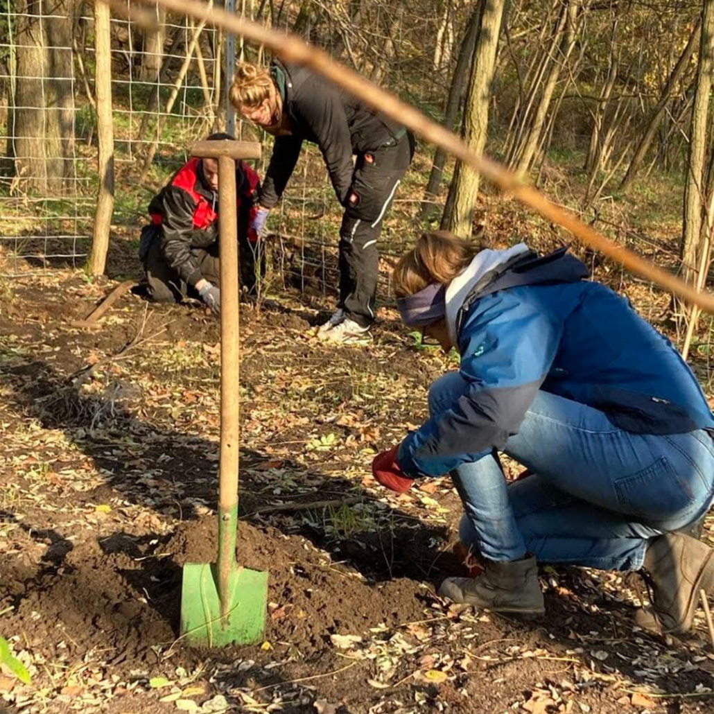 Drei Jugendliche bei der Gartenarbeit