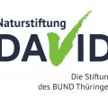 Logo der Naturstiftung David