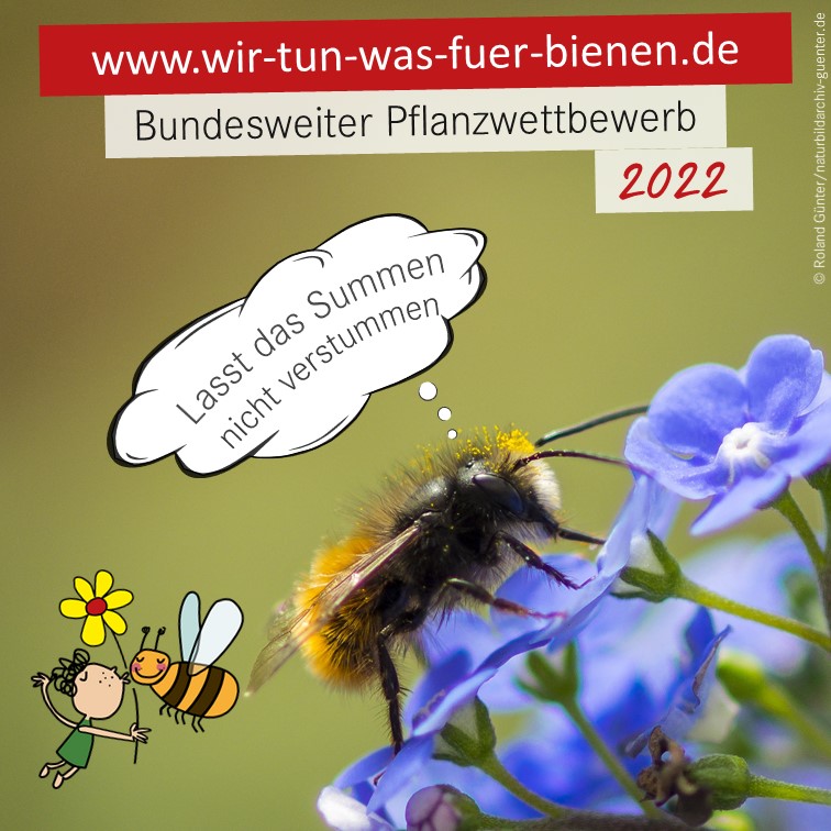 Oben rot hinterlegt www.wir-tun-was-fuer-bienen.de. Darunter Bundesweiter Pflanzwettbewerb 2022. Rechts unten mehrere blaue Blumen auf denen mittig eine Biene sitzt mit Gedankenblase "Lasst das Summen nicht verstummen". Links unten ein gezeichnetes Kind mit Blume in der Hand küsst eine Biene.