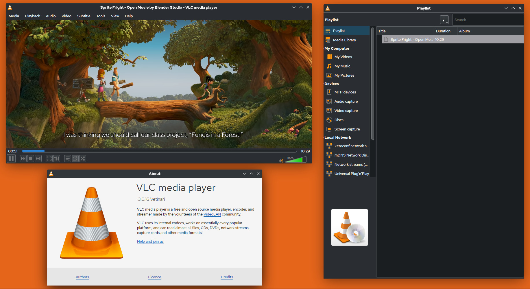 Screenshot des VLC Media Player