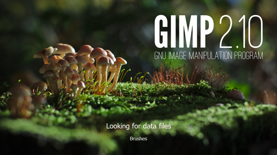 Startgrafik des Bildbearbeitungsprogramms GIMP