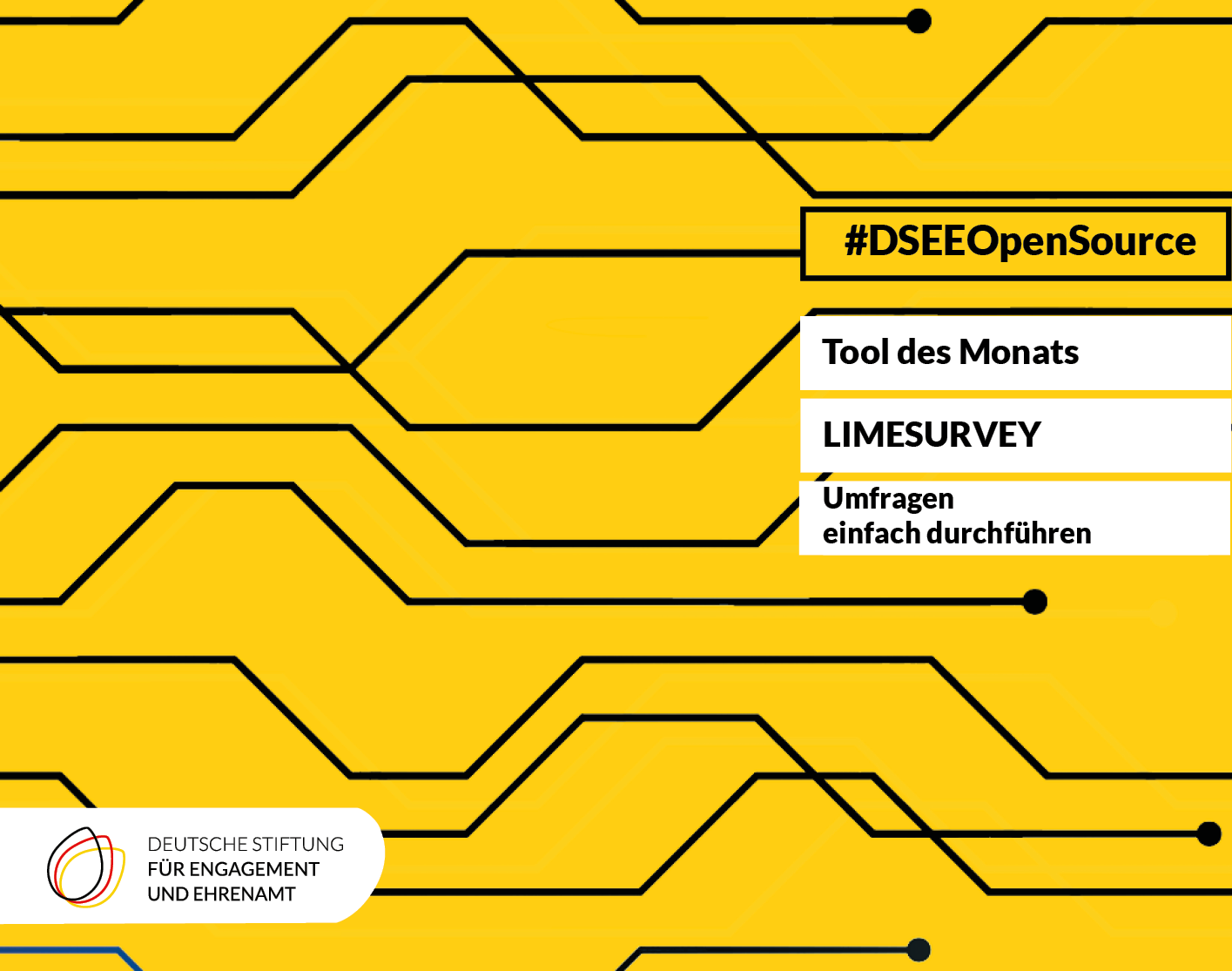 Grafik mit dem Text: Tool des Monats: Lime Survey - Umfragen einfach durchführen