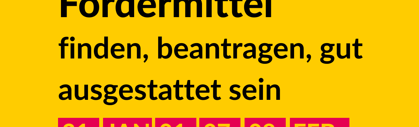 Fördermittel & Fundraising #DSEEerklärt: Fördermittel - finden, beantragen, gut ausgestattet sein. 31. Jan., 01., 07., 08. Feb. 17:00-18:15 Uhr