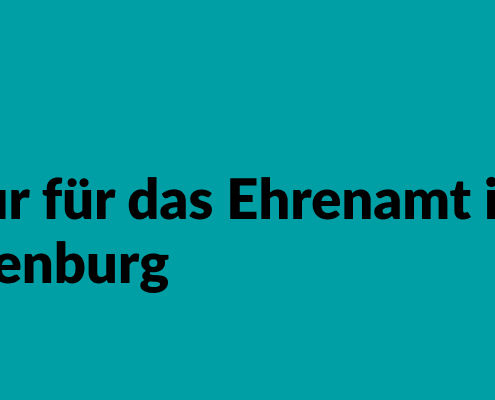 Grafik mit grünem Hintergrund und einer gezeichneten Glühbirne. Text: #EngageiertGeforscht Change Centre. Infrastruktur für das Ehrenamt in Brandenburg. Studienbericht