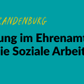 Grafik mit grünem Hintergrund und einer gezeichneten Glühbirne. Text: #EngageiertGeforscht Hochschule Neubrandenburg. Marginalisierung im Ehrenamt – Aufgaabe für die Soziale Arbeit? Studienbericht