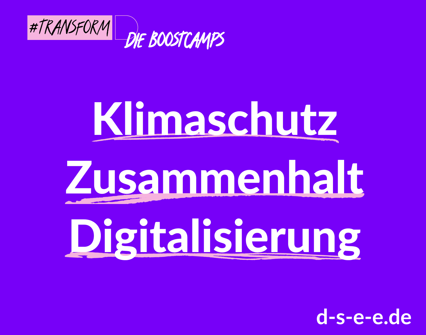 Grafik mit dem Text Transform_D Die Boostcamps Klimaschutz, Zusammenhalt, Digitalisierung. d-s-e-e.de