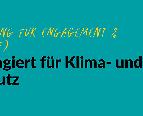 Grafik mit einer gezeichneten Glühbirne und dem Text: #EngagiertGeforscht Deutsche Stiftung für Engagement & Ehrenamt (DSEE). Jung & engagiert für Klima- und Umweltschutz. Studienbericht