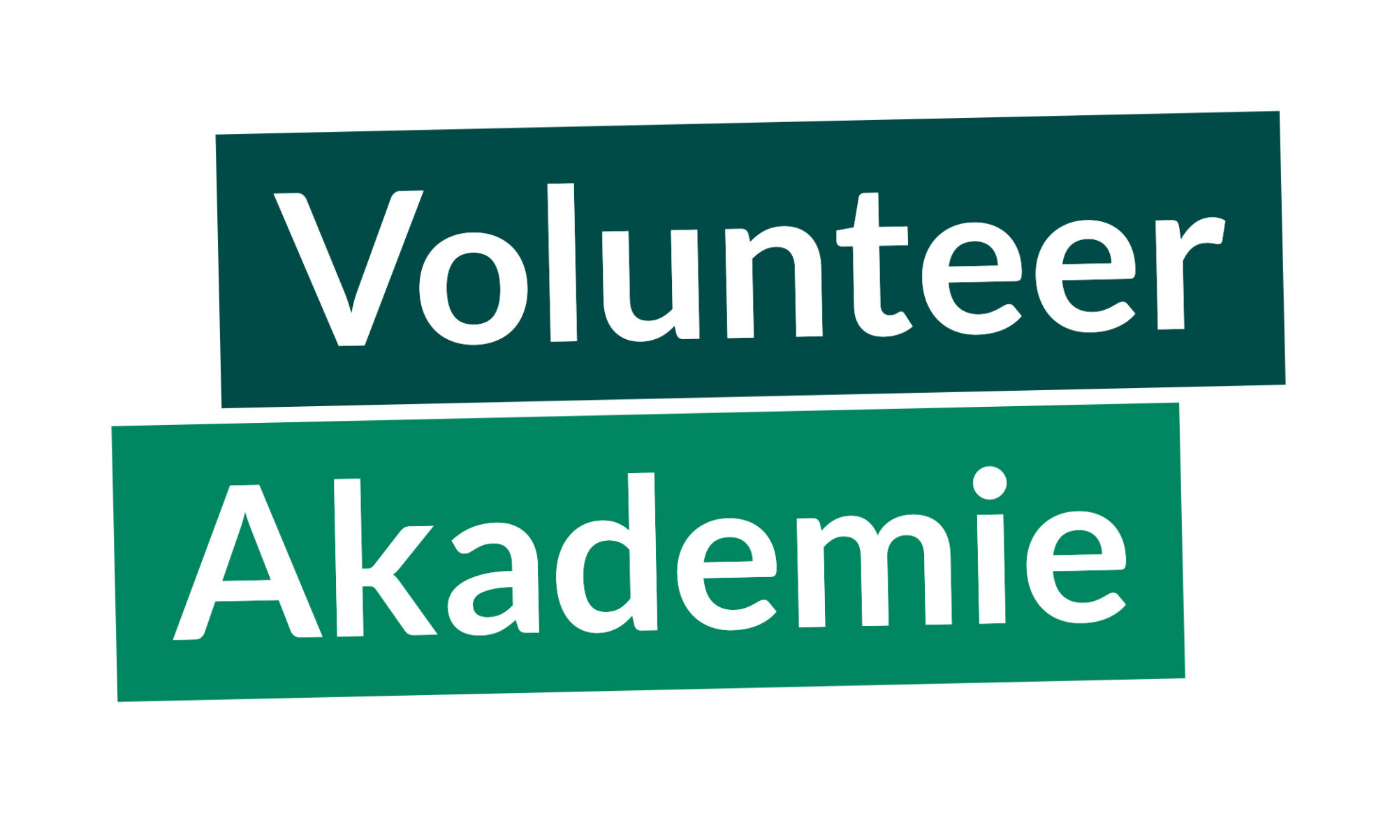 Logo Volunteer Akademie
