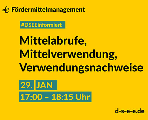 DSEE informiert Fördermittelmanagement: Mittelabrufe, Mittelverwendung, Verwendungsnachweise. 29. Januar, 17:00–18:15 Uhr