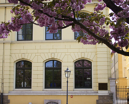 Fassade des Dresdner Schulmuseums