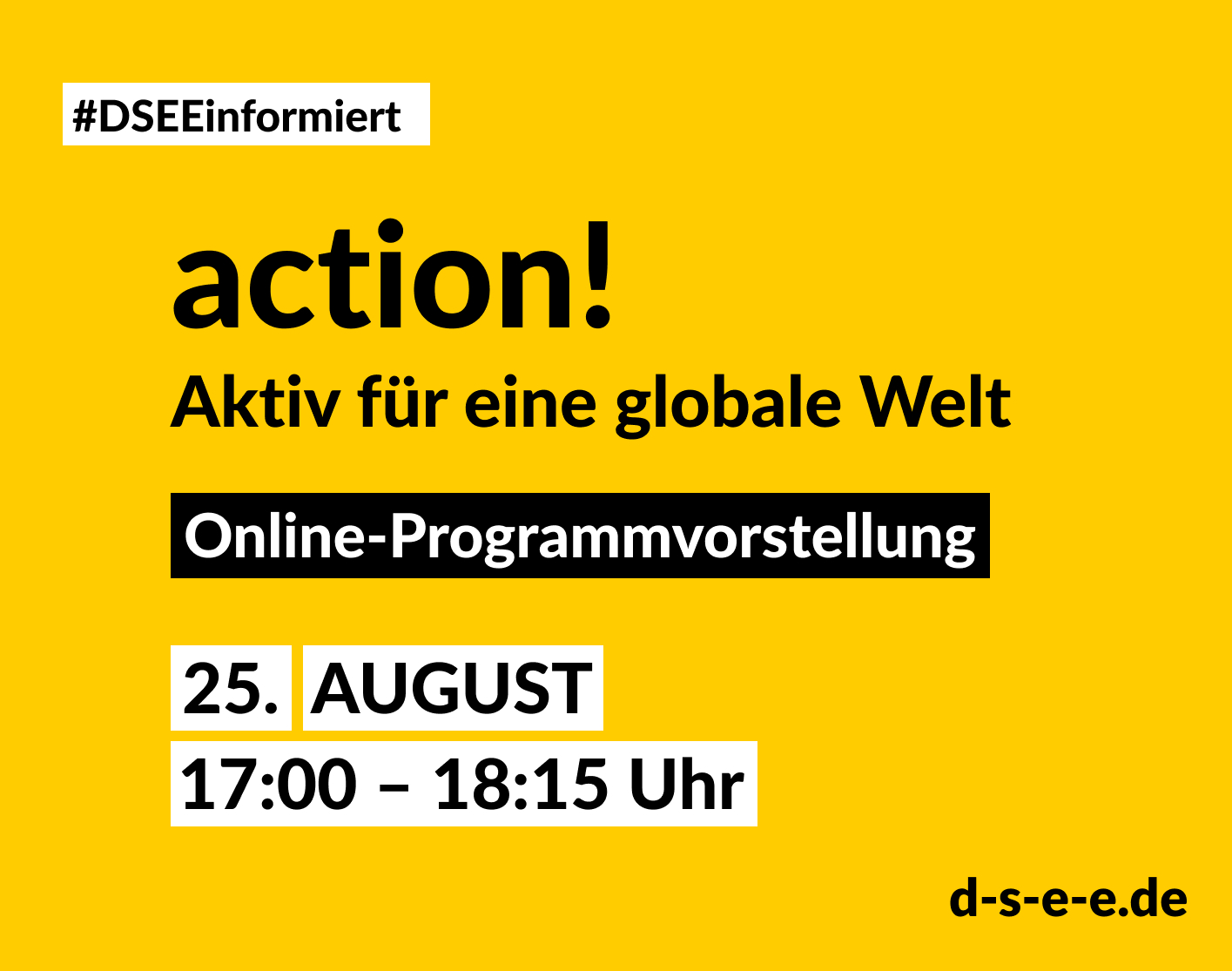 DSEE informiert: action! Aktiv für eine globale Welt. Online-Programmvorstellung. 25. August 17:00–1815 Uhr