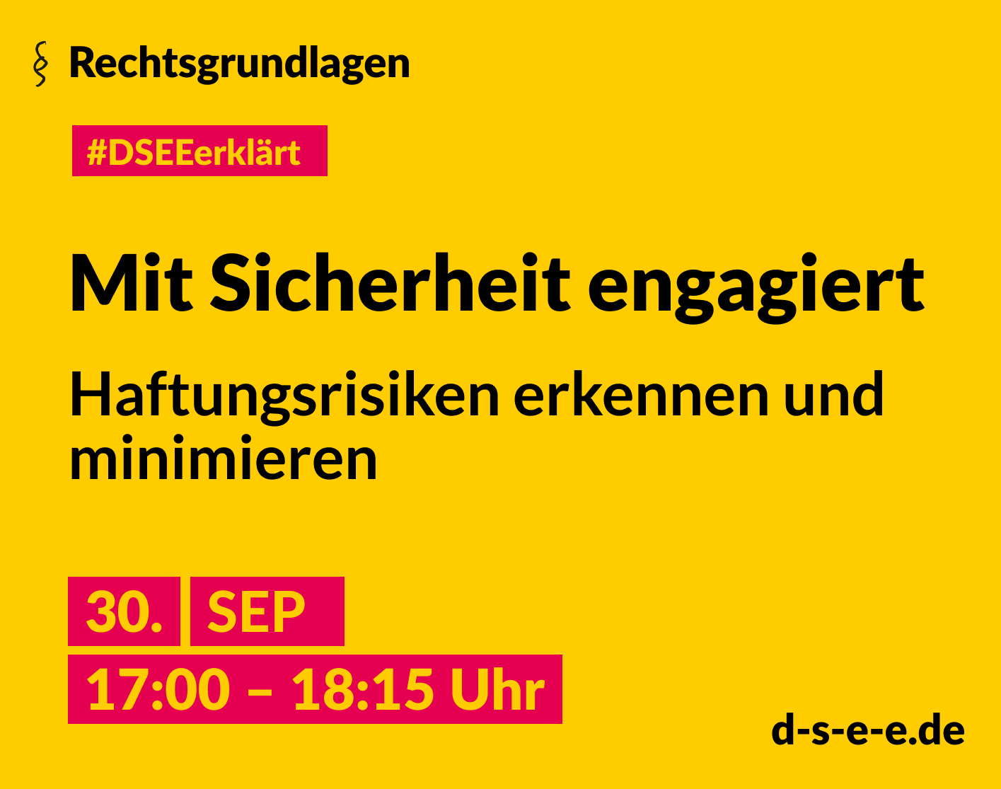 #DSEEerklärt Rechtsgrundlagen: Mit Sicherheit engagiert - Haftungsrisiken erkennen und minimieren, 30. September von 17:00 bis 18:15 Uhr