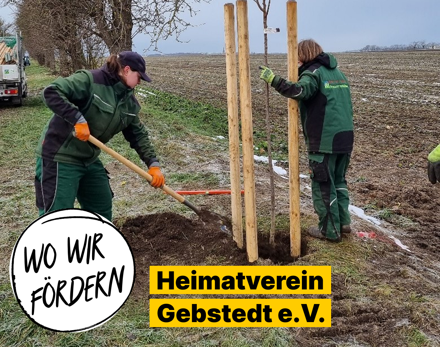 Zwei Engagierte pfanzen einen Baum. Text: Wo wir Fördern: Heimatverein Gebstedt e.V.