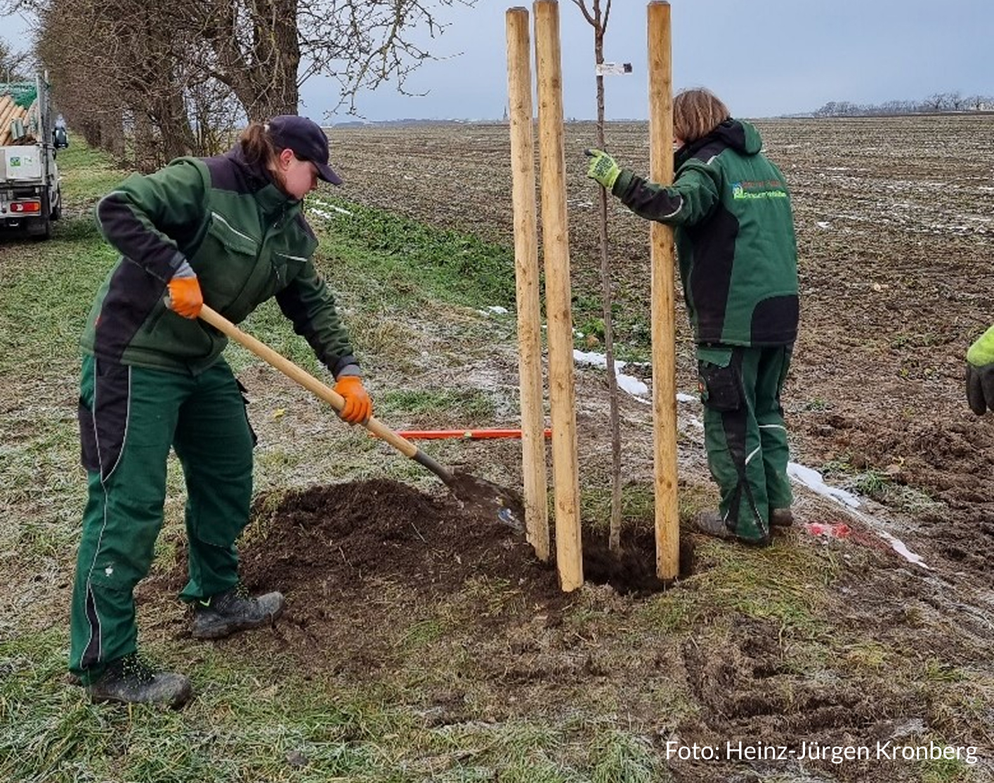 Zwei Engagierte pflanzen einen Baum.