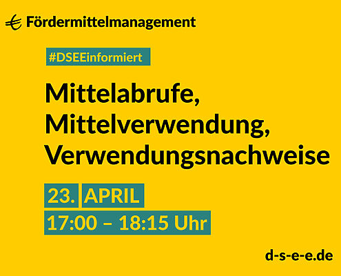 DSEE informiert Fördermittelmanagement: Mittelabrufe, Mittelverwendung, Verwendungsnachweise. 19. März, 17:00–18:15 Uhr