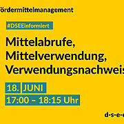 DSEE informiert Fördermittelmanagement: Mittelabrufe, Mittelverwendung, Verwendungsnachweise. 18. Juni, 17:00–18:15 Uhr
