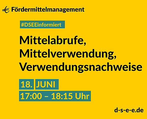 DSEE informiert Fördermittelmanagement: Mittelabrufe, Mittelverwendung, Verwendungsnachweise. 18. Juni, 17:00–18:15 Uhr